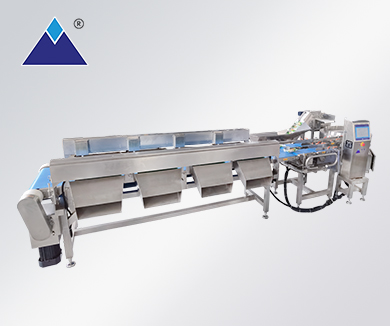 四級皮帶式雙通道分選秤 四級皮帶式雙通道分選秤